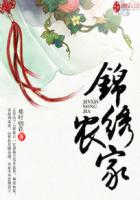 錦綉辳家小說封面