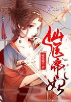 仙毉帝妃小說封面