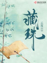 藏珠（重生）小說封面