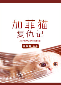 加菲猫复仇记封面
