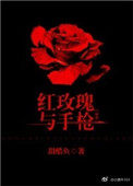 红玫瑰与枪小说封面