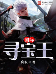 國際尋寶王小說封面